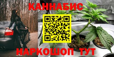 винт Будённовск