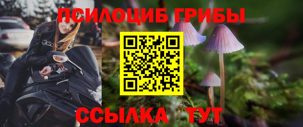 Псилоцибиновые грибы GOLDEN TEACHER  Вход с VPN  Вышний Волочёк 
